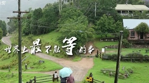天下父母 七旬老人的金婚之旅