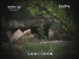 天网 [天网]家的诱惑(20120711)