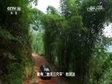 地理中国 《地理中国》 20161014 “红龙”过境