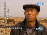 新闻联播 新闻联播 2010-03-27 21:00