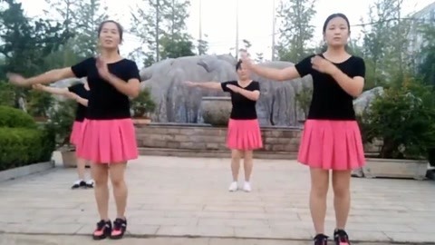 广场舞 广场舞《南泥湾》演跳版