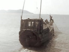 《谍战揭密》系列：萤火虫行动