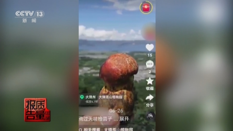 《每周质量报告》 20250824 “采菌游”爆火之后的生态观察