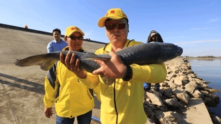 第二季第17期：老瑭外伤初愈，湖北刘桥寻大物