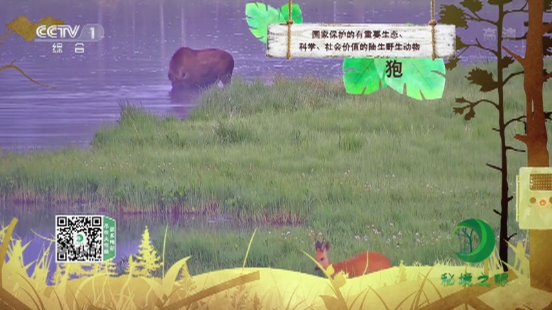 秘境之眼 《秘境之眼》 狍 20221027