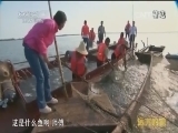 远方的家 《远方的家》 20150207 北纬30°·中国行（46） 寻龙舟之源 游鱼米之乡
