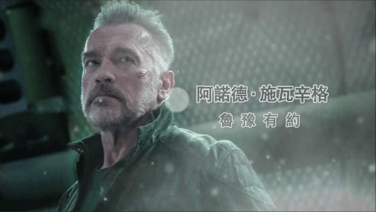 鲁豫有约 阿诺德·施瓦辛格 步履不停歇