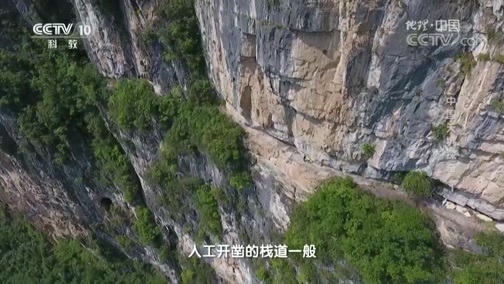 地理中国 《地理中国》 20190628 中国天坑探奇 1