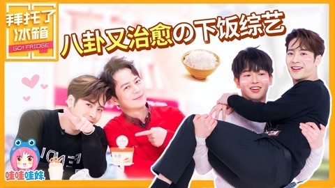 哇妹看综艺 《拜托了冰箱5》安利：我喜欢这种八卦沙雕治愈的下饭综艺
