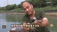 致富经 [致富经]昔日伤心地 今朝捡来千万财 20161025