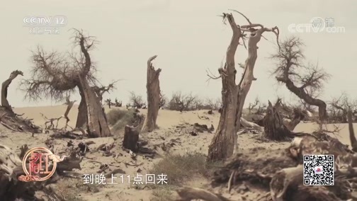 夕阳红 《夕阳红》 20200516 《锻造记》——“红箭-8”反坦克导弹（上集）