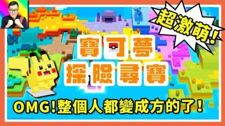 酷爱精灵宝可梦 第一季 发生了什么？宝可梦们都变成方块啦 超有趣