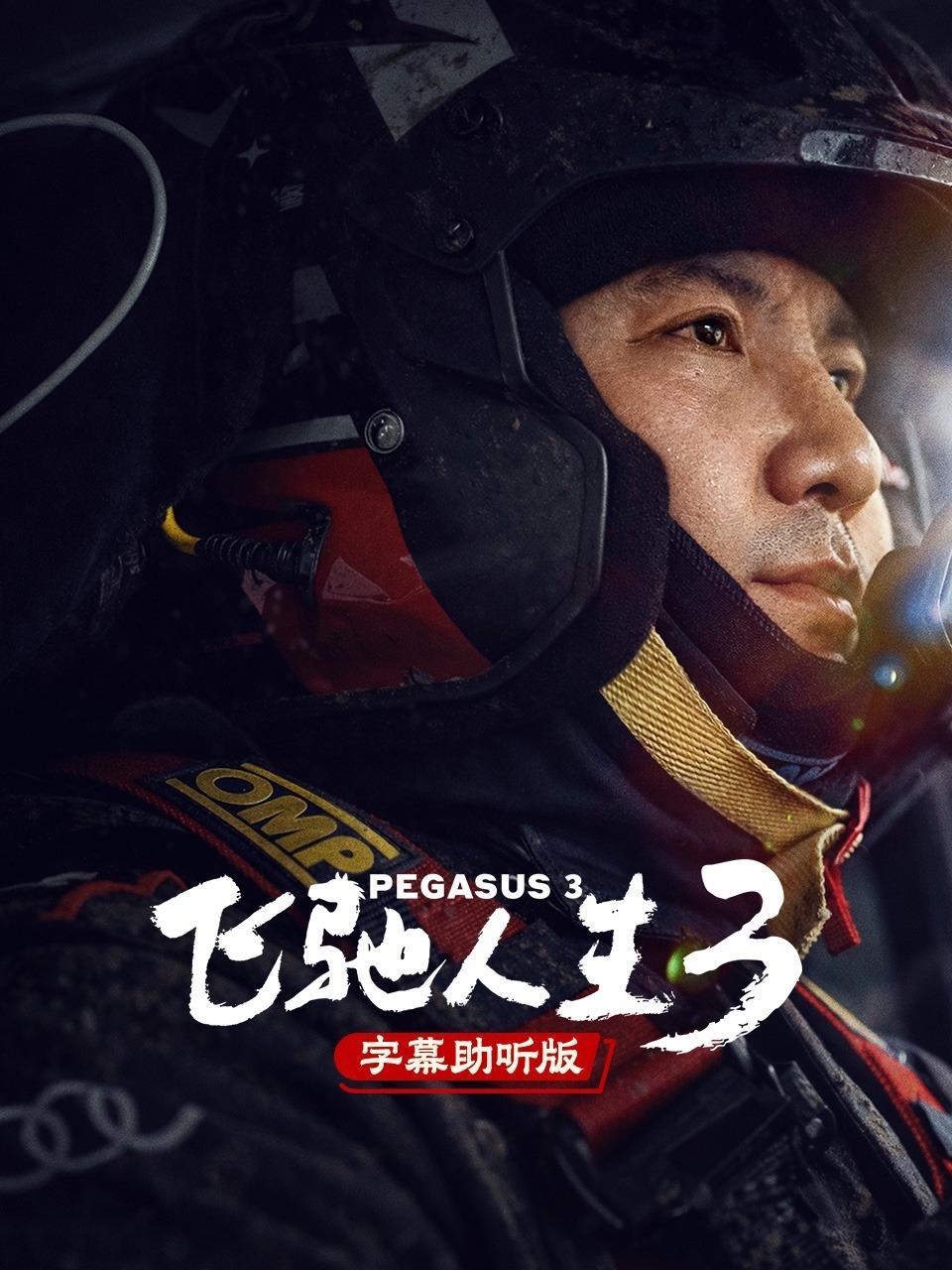飞驰人生3 字幕助听版