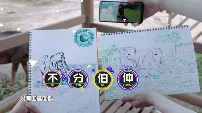 《我和哥哥们》第5期