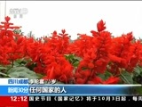 新闻30分 《新闻30分》 20161003