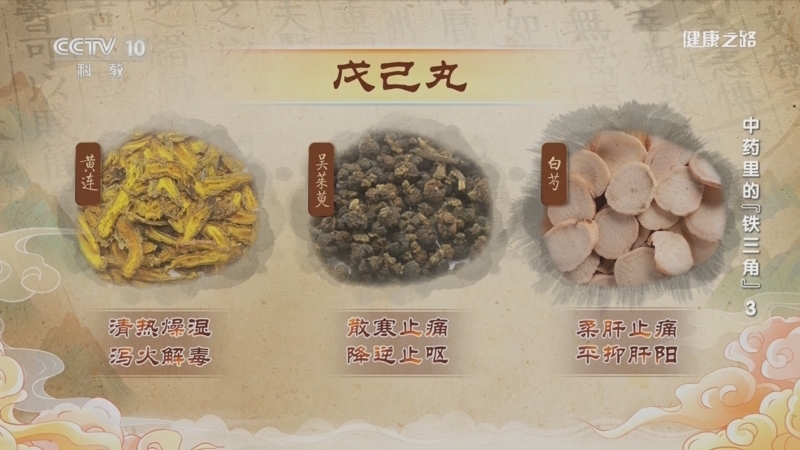 健康之路 《健康之路》 20240123 中药里的“铁三角”3
