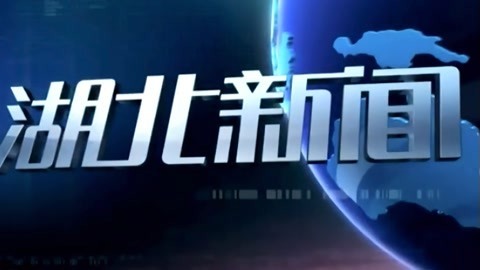 湖北新闻20210601