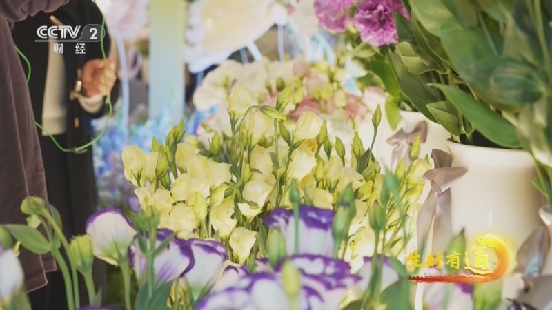 《生财有道》 20260330 文人盆景意 市井致富花