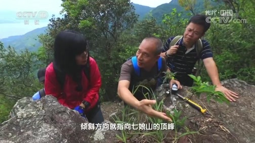 地理中国 《地理中国》 20181201 秘境寻踪·秘境七娘山（中）