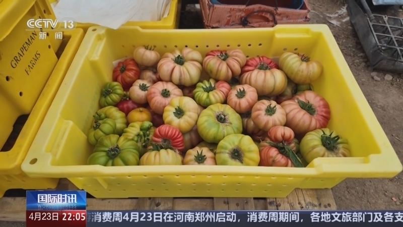 国际时讯 《国际时讯》 20250423