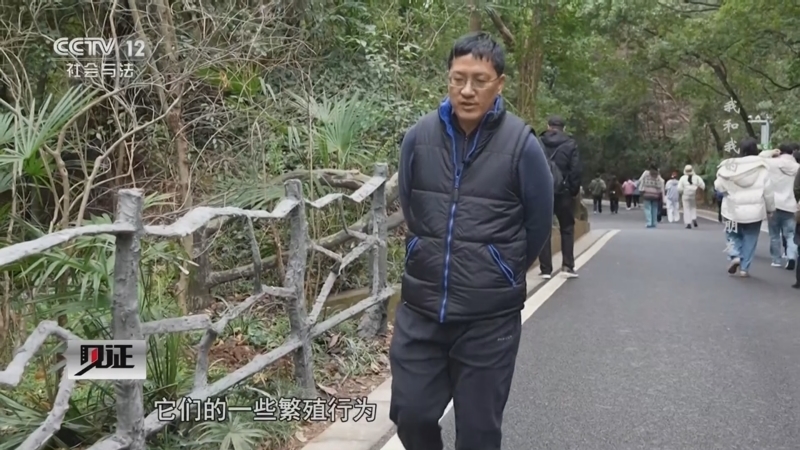 见证 《见证》 20250330 我和我的鸟兽朋友