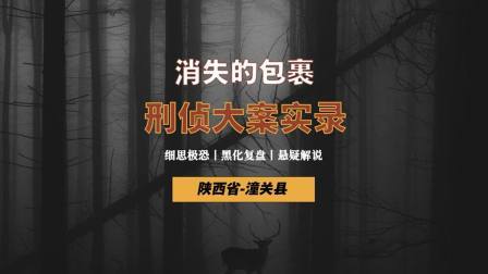 消失的人形包裹，女子离奇失踪，警方只用一天破案，犯罪片