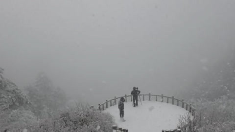 特别关注20210114