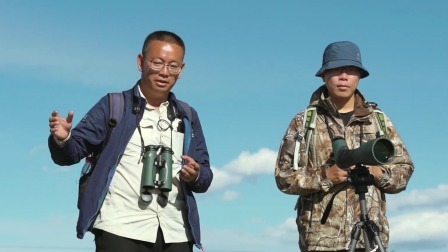 调查路域生态，探索青年在行动