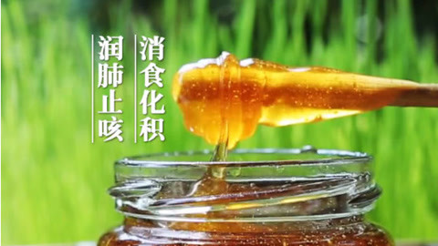 小白菜养生坊第一季 消食化积不蛀牙：麦芽糖