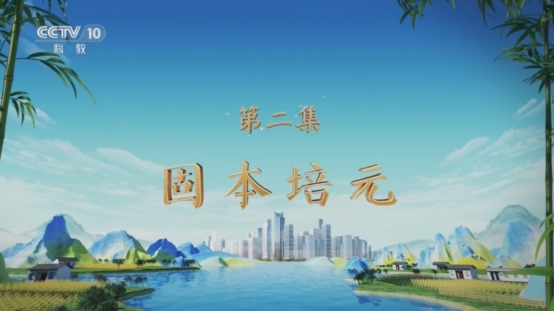 百家讲坛 《百家讲坛》 20250408 特别节目《天地有正气》（2） 固本培元