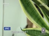 夕阳红 《夕阳红》 20171014 稀里糊涂卖了房