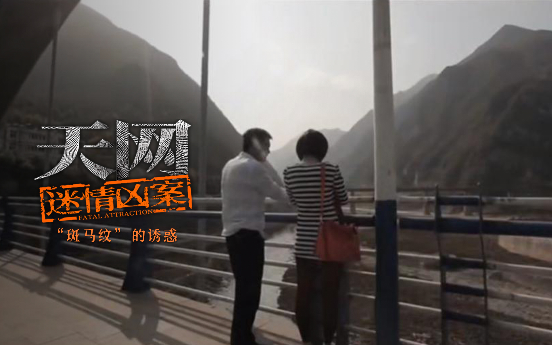 “斑马纹”的诱惑
