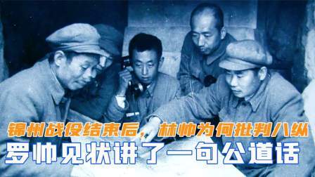 趣谈文史 锦州战役结束后，林帅为何批判八纵？罗帅见状讲了句公道话