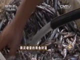 致富经 《致富经》 20151120 黑泥塘里的黑鱼财富