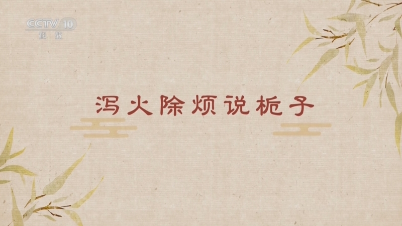 百家讲坛 《百家讲坛》 20251231 舌尖上的养生（第三部） 7 泻火除烦说栀子