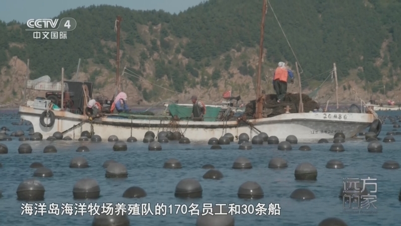 远方的家 《远方的家》 20260824 山河锦绣看中国 浪漫之都 乐享夏天