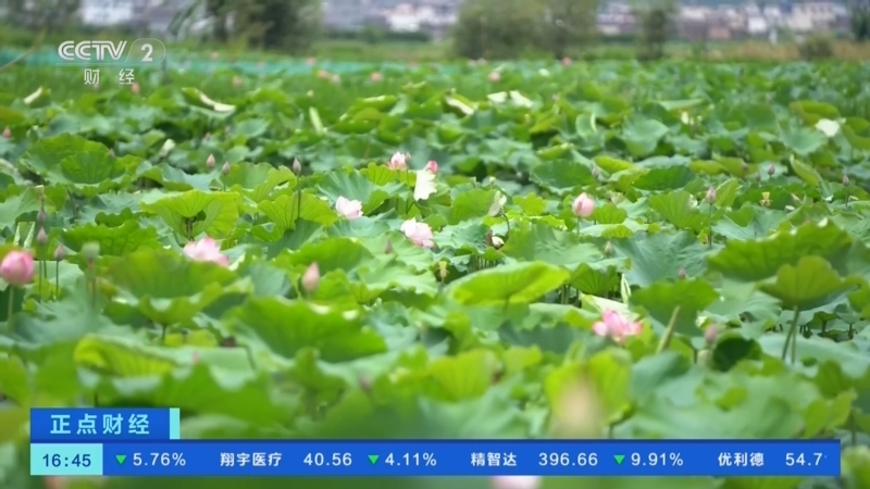 正点财经 《正点财经》 20260730 16:00