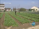 新闻联播 新闻联播 2010-12-05 19:00