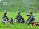 谁是终极英雄 《谁是终极英雄》 20160911 军犬特辑 第一集