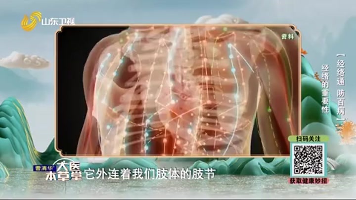 大医本草堂 经络通 防百病