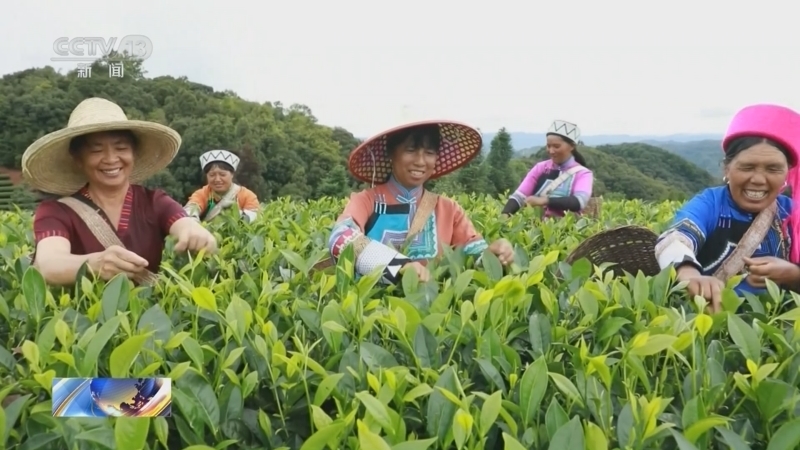 新闻30分 《新闻30分》 20240717