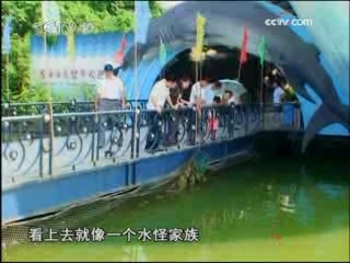 走近科学 水怪家族
