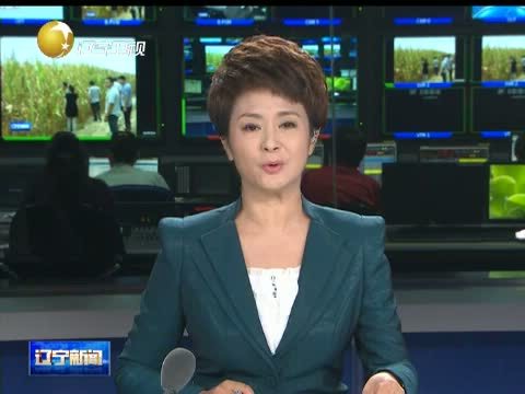 辽宁新闻 《辽宁新闻》 20140826