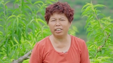 与梦想合拍 投桃抱喜