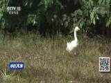 小区大事 《小区大事》 20170828 难觅的理想丈夫