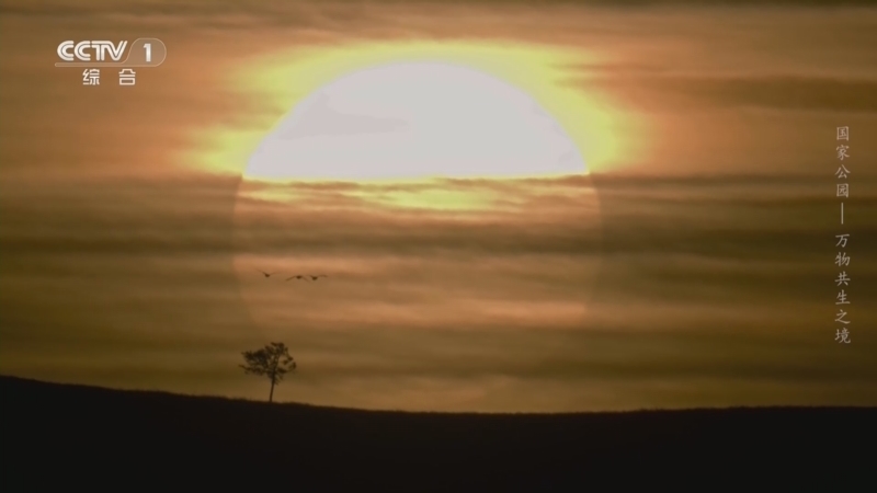 《国家公园——万物共生之境》 第5集 万物生息