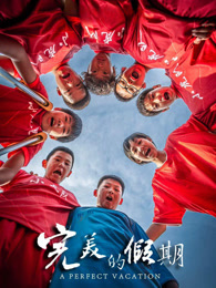 完美的假期