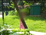 焦点访谈 《焦点访谈》 20170816 儿童安全无“儿戏”