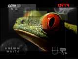动物世界 《动物世界》 20110930
