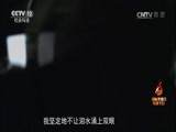 热线12 《热线12》 20170626 亮剑2017“6·26”国际禁毒日特别节目 2/2